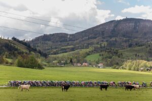 Přečtete si více ze článku Moravskoslezský kraj: Domov cyklistiky a velkých příběhů Gracia
